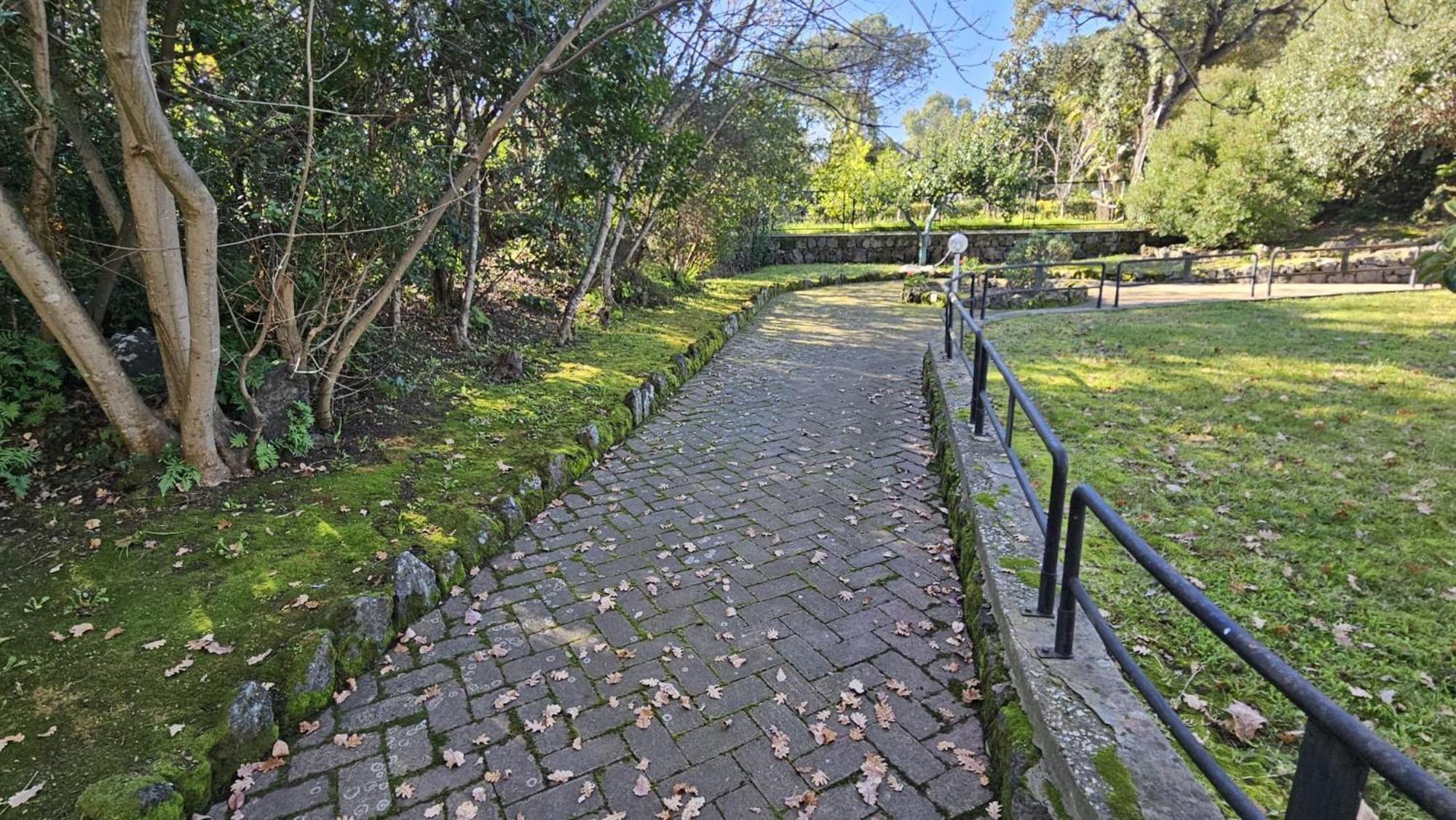 Villa Lia - Ischia Porto Exterior foto